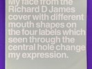 Aphex Twin - Come To Daddy 2 x 12” 45rpm Promo IDM Rare Warp Richard D James AFX