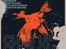 Merzbow / Gustafsson, Mats / Pandi, Balazs / Moore Cuts Up, Cuts Out (Vinyl)