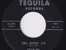 CHUCK RIO & THE INDIVIDUALS Cell Block #9 RARE r&b 45 rocker rockabilly LISTEN