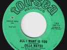 ZILLA MAYES All I Want Is You RARE sweet soul 45 northern soul deep funk LISTEN