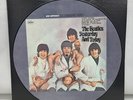 Beatles Yesterday & Today Butcher Chicago Picture Disc 1980 Vinyl USED