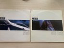 Portishead - Numb & Sour Times | Rare 12
