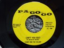RARE MICHIGAN GARAGE PSYCH-PA-GO-GO 121-COUNT AND THE COLONY-CAN'T YOU SEE-45