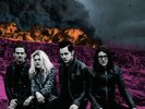 Dodge And Burn by Dead Weather (Record, 2015)