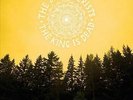 The Decemberists - King is Dead - Vinyl