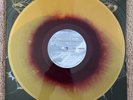 Fall Out Boy From Under The Cork Tree HOT TOPIC GOLD w/ MAROON SWIRL VINYL - VG+