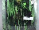 Promise Ring - Wood-Water 2LP NEW CLEAR VINYL