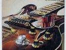 FREDDIE KING BURGLAR RSO MW2107 JAPAN VINYL LP