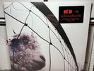 Pearl Jam - Vs. - Sony Legacy - Ten Club - 2x45rpm LPs - New/Sealed