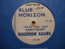 Very Rare Blues    Woodrow Adams  