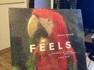 Calvin Harris Ft. Pharrell Williams Katy Perry & Big Sean Feels 12