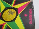 REGGAE RECORD DIAMOND Dub Plate 10