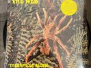 The Web - 