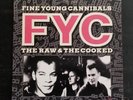 FINE YOUNG CANNIBALS 