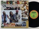 Israel Vibration 