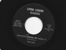 GARAGE FUZZ 45 - THE EVIL - WHATCHA GONNA DO ABOUT IT - HEAR -1967 LIVING LEGEND