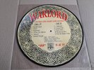 - LP - rare pic disc  -  Punk Oi ISD Rock O Rama Rebelles -8