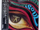 MATT JOHNSON BURNING BLUE SOUL WEA P11148 JAPAN OBI VINYL LP