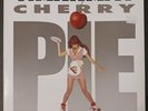 Warrant - Cherry Pie Vinyl Album aus1990