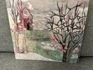 Margot and the Nuclear So So's - Not Animal Vinyl 2xLP Pink SRC Pressing OOP