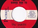 GARAGE The Jakes Where You Gonna Run To 45 nm/ nm 1966 beautiful copy