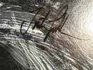 New Model Army Unbroken (Vinyl LP 12
