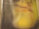 P J Harvey Dry and Demonstration 2 x Ltd Edition  1992 Numbered Vinyl PURE D10