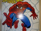 The Amazing Spider-Man - John Romita - Rockomics-LP- Mit Poster - selten  - 1972