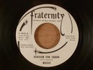 Mouse  Requiem For Sarah/Look At The Sun  Promo  Garage, Psych, Pop Rock