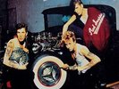 STRAY CATS 