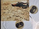 RJD2 – Deadringer-2*LP-Near Mint - Definitive Jux – DJX35 (2002)