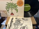 Mother Earth's PLANTASIA Mort Garson OG 1976 LP Homewood H101 w/ Booklet VINYL