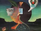 Nick Drake Pink Moon