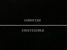 Lungfish Indivisible (Vinyl) 12
