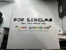 5x12” House Vinyl - Bob Sinclar/DB Boulevard/Alex Gaudino/Moloko/Bel Amour