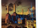 PINK FLOYD: Animals LP singed autographed by Roger Waters & David Gilmour COA
