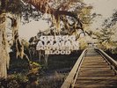 Gregg Allman - Southern Blood 2017 Dutch 180 Gram Vinyl LP New Sealed