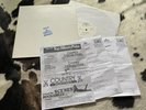 Test Pressung Sun Record 1021 Rockabilly LP 1980 Orion Jimmy Ellis Muster EX