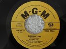 Jethro Tull - Sunshine Day / Aeroplane (MGM 1384 7