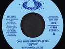 ICE-T: coldest rap / cold wind-madness SATURN 7