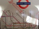 The New Vaudeville Band - Finchley Central (LP)