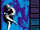 USE YOUR ILLUSION II VG+ VINYL RECORD
