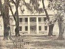 Various - The Mississippi Blues, No.3: Transition, 1926-1937 - BLUES