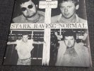 The Blood - Stark Raving Normal 7