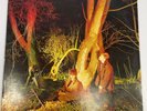 Echo and the Bunnymen Crocodiles LP EX