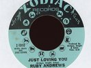 Ruby Andrews - Just Loving You on Zodiac Northern Soul 45