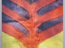Yeah Yeah Yeahs - Show your bones - LP