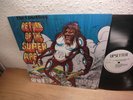 The Upsetters – Return Of The Super Ape, rare from Jamica, Dub, Roots Reggae