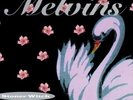 Melvins - Stoner Witch [Used Vinyl LP] Holland - Import