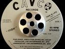 FISH - This Is Life - 45 RARE MODERN SOUL;NORTHERN CAVCO 1982 DISCO FUNK 7